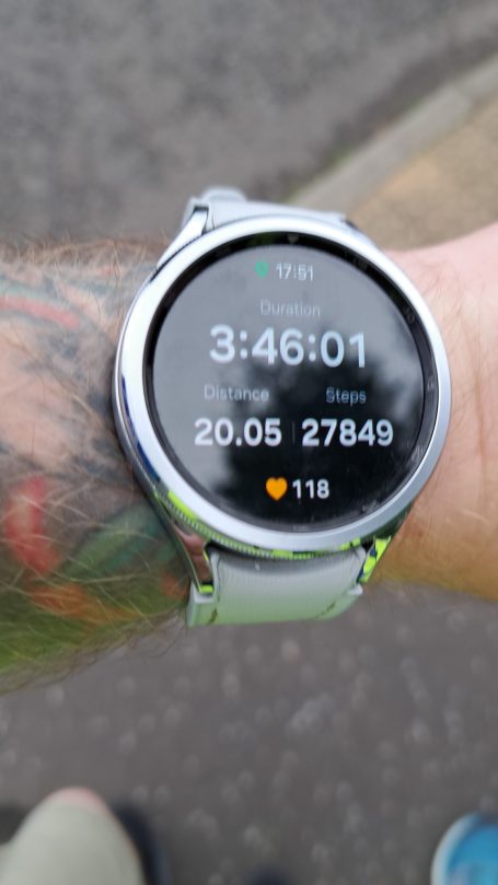 Curly and Moe out for another practise walk